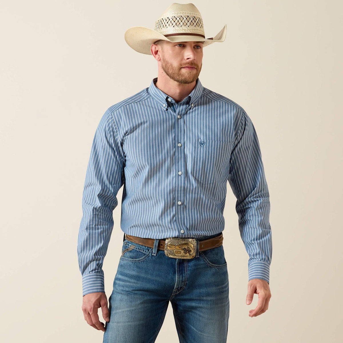 Ariat Men's Judah Pro Poseidon Strip Shirt
