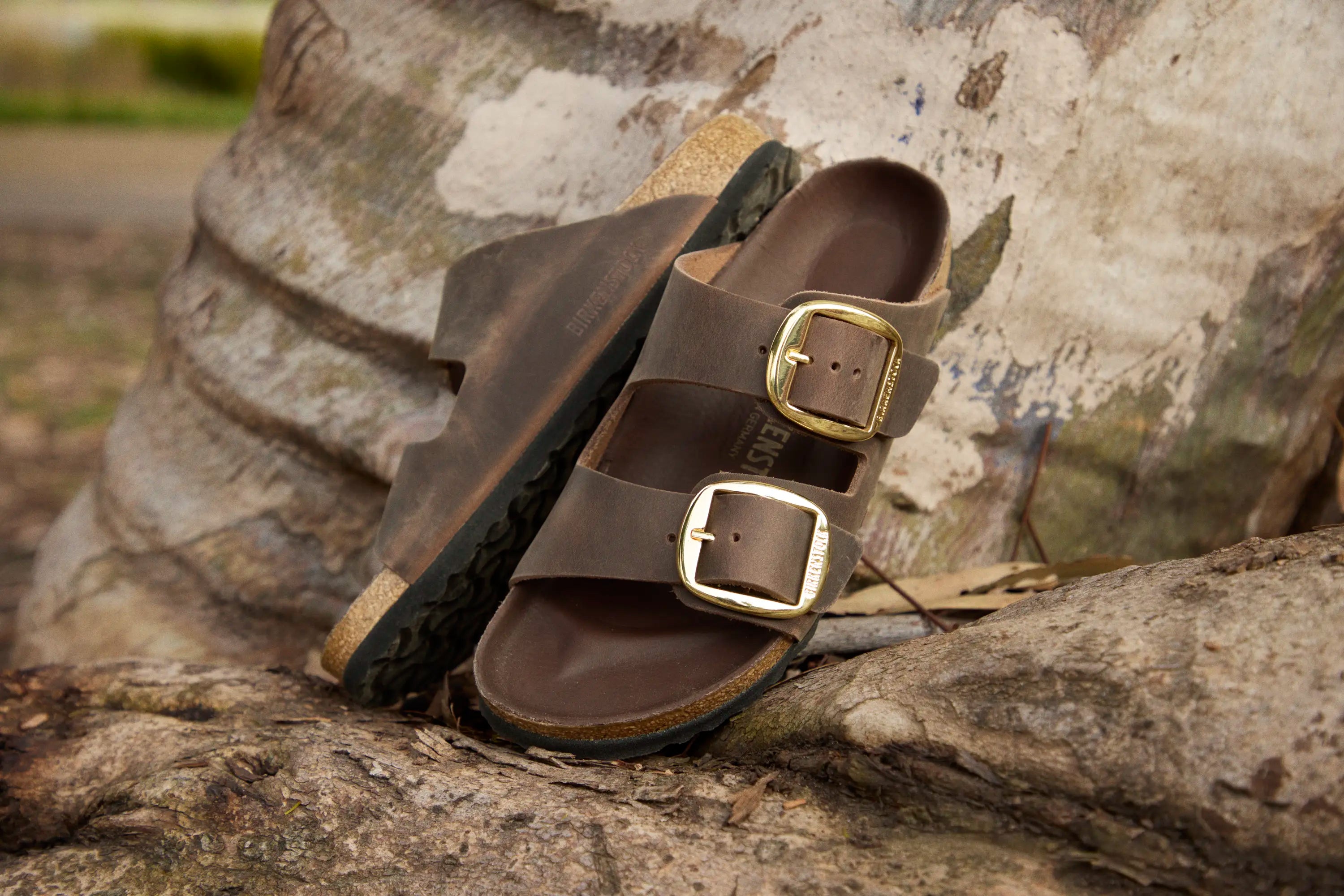 Arizona Big Buckle Oiled Leather Habana Birkenstock Sandal